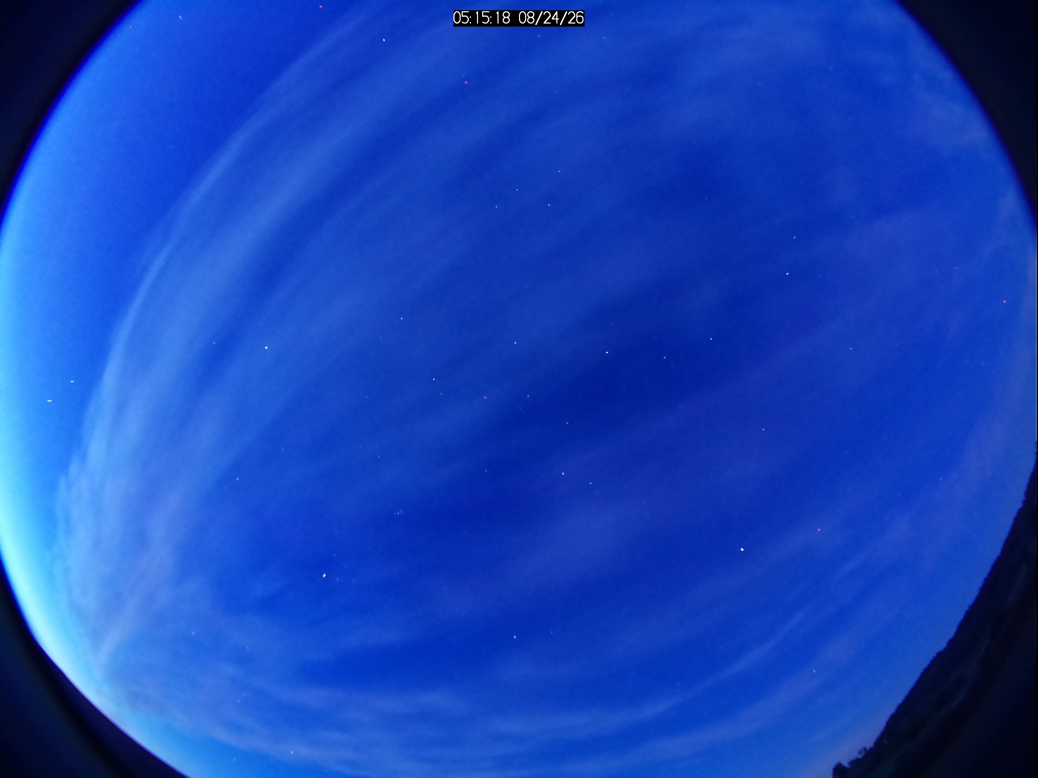 Live Kamera Bild